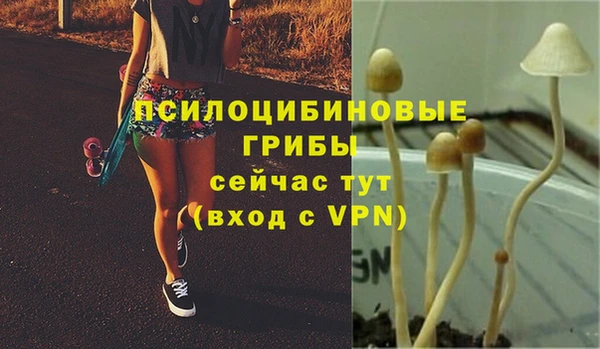 соль ск Михайловск