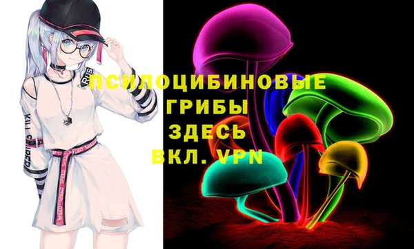 гашик Медвежьегорск