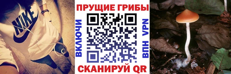 наркошоп  Нижневартовск  Псилоцибиновые грибы MAGIC MUSHROOMS 